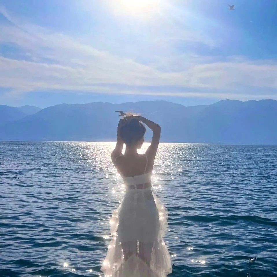 刺杀至尊 海报
