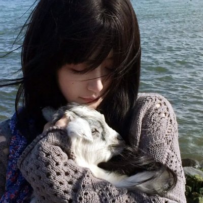 薰衣草粤语 海报